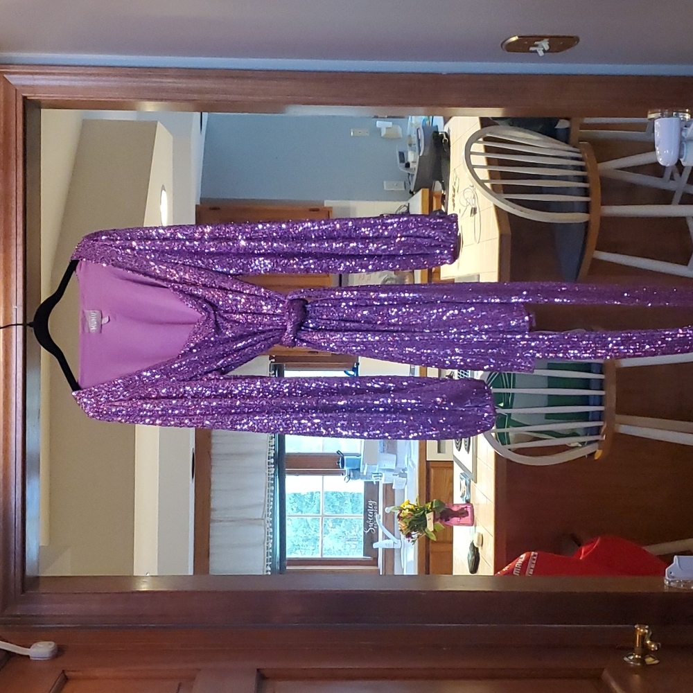 Show Me Your Mumu Pink Sequin Dress